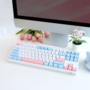 CS87 유무선 87키 퀵스왑 기계식 키보드