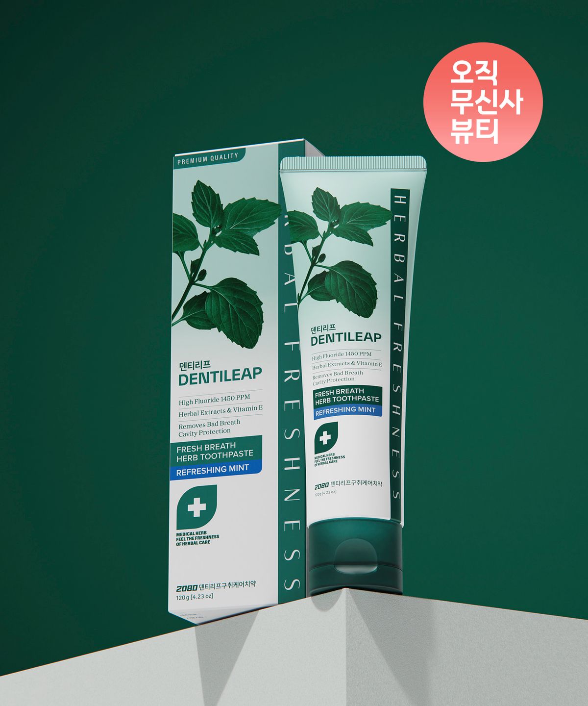 이공팔공(2080) 2080 덴티리프 구취 120g x 4입