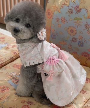 강아지 명절 고운나래한복 분홍빛