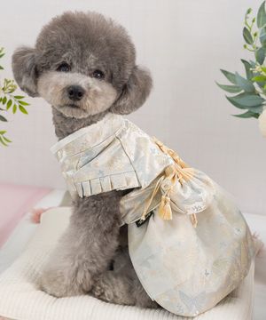 강아지 명절 고운나래한복 노란빛