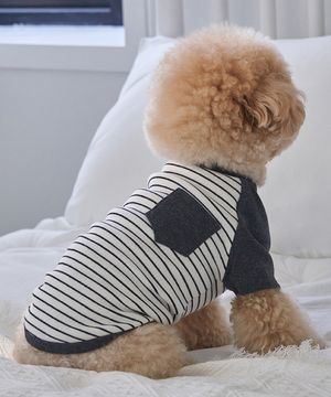 강아지 포켓단가라 티셔츠 화이트