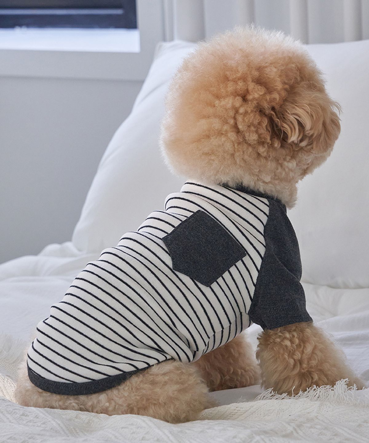 도그아이(DOGI) 강아지 포켓단가라 티셔츠 화이트