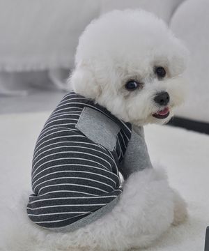 강아지 포켓단가라 티셔츠 그레이