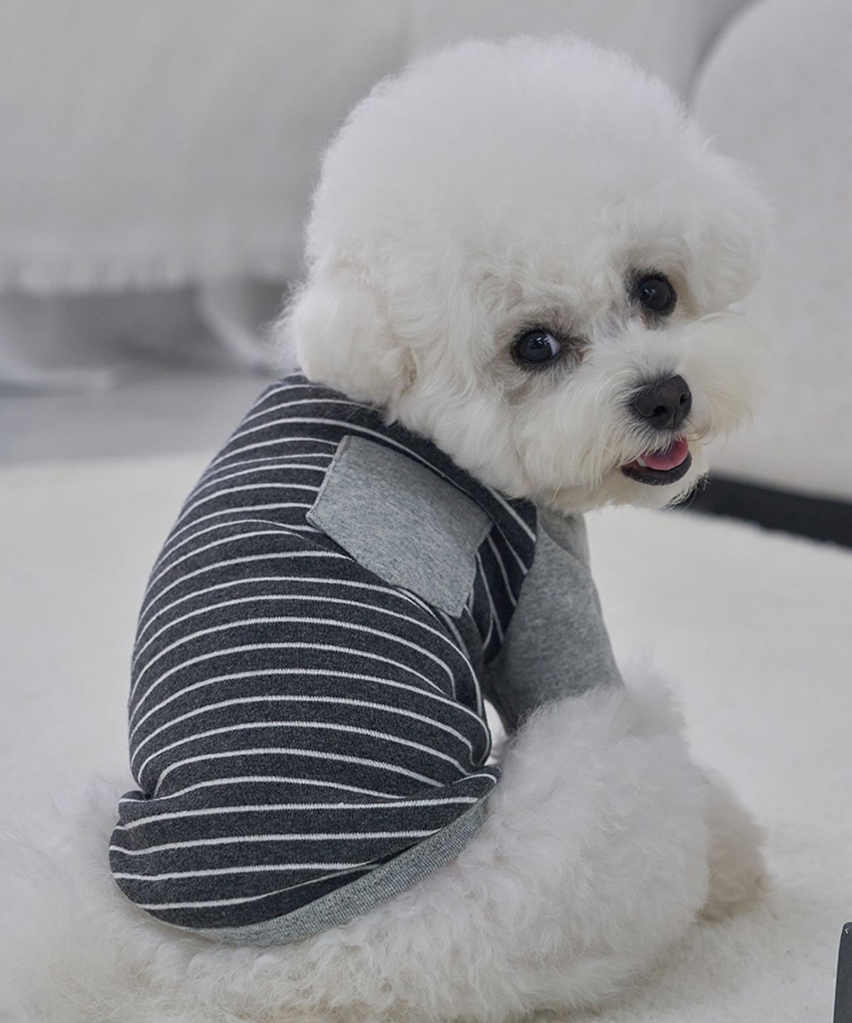 도그아이(DOGI) 강아지 포켓단가라 티셔츠 그레이