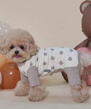 강아지 베베 올인원 베이지