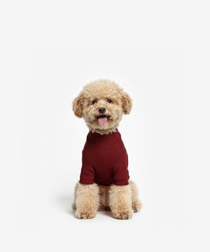 강아지 베이직 목폴라 (버건디)