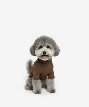 강아지 베이직 목폴라 (브라운)