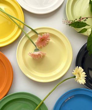 비비드컬러 플랫 플레이트 8color 2p선물세트