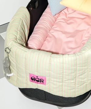 강아지 유모차 애플 가드 - 그린