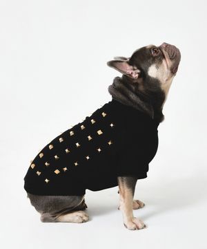 스터드 스웻셔츠 펫