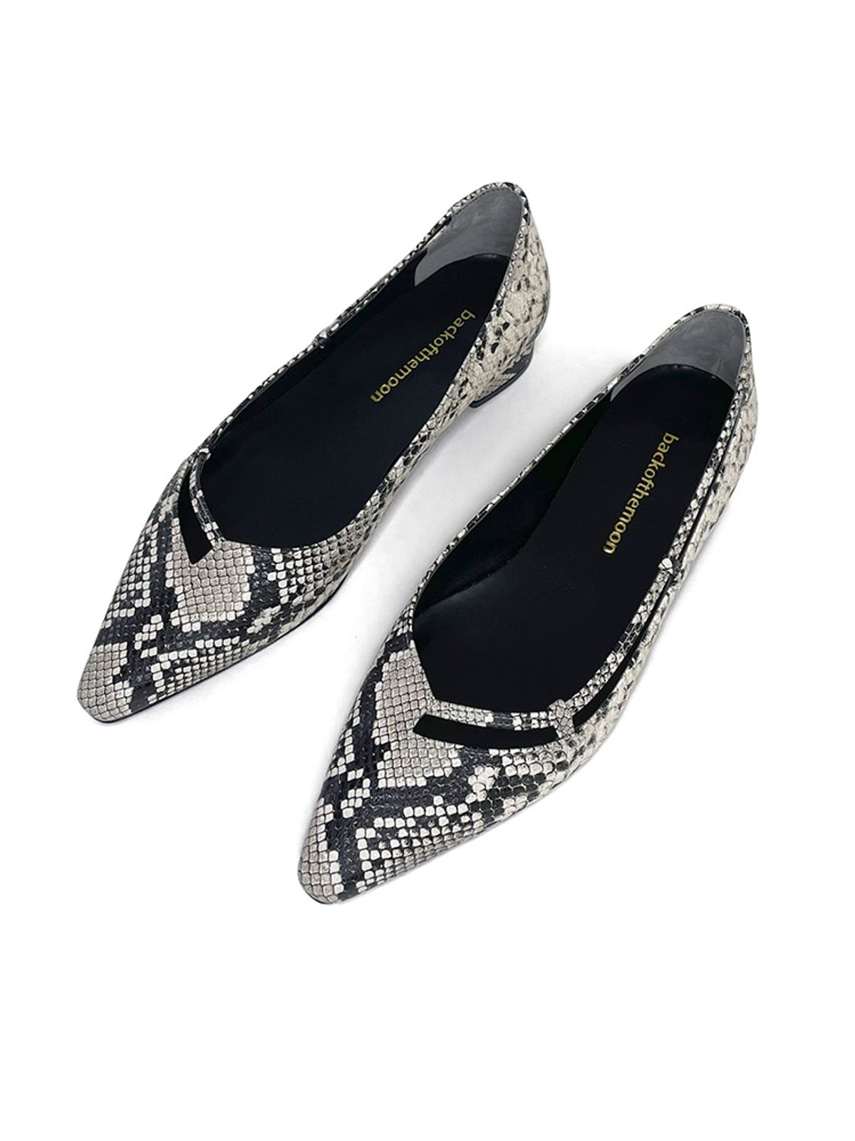 백오브더문(BACK OF THE MOON) Anshu flat_Python skin