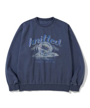 피그먼트 팜트리 맨투맨 BLUE