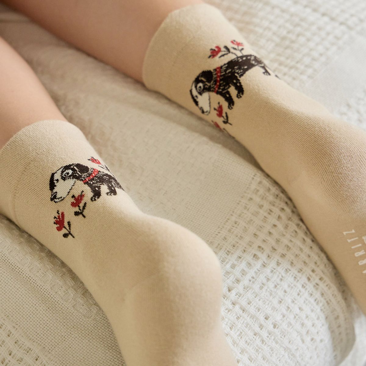 비아리츠(BIARRITZ) [2PACK] 도기 백 도그 포인트 베이직 삭스 2color