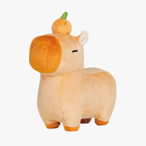 미니 카피바라 오렌지 카피