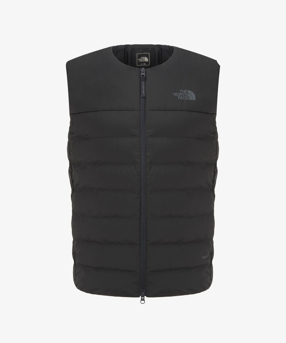 노스페이스(THE NORTH FACE) NV3NR51B 남성 르위스 T 베스트 DARK_GRAY