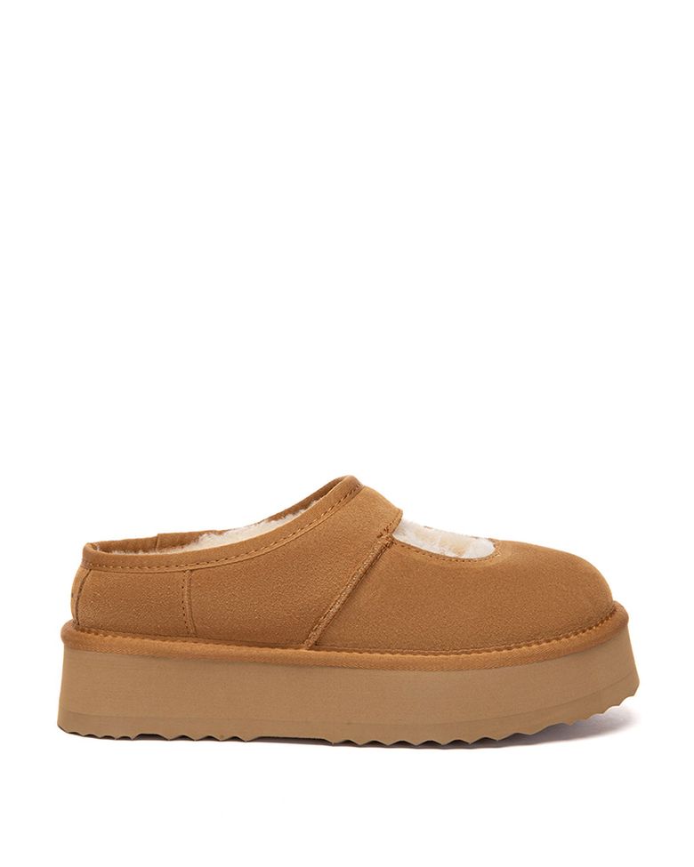 CAMELLA(Chestnut)