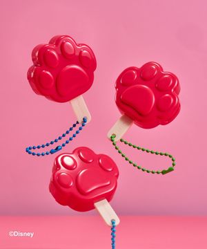 [2pack][주토피아] 치크톤 립앤 치크 듀오밤 4.8g