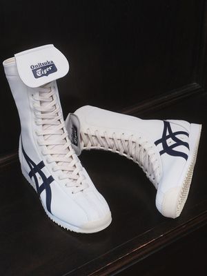 멕시코 66 복싱 1183C454_100