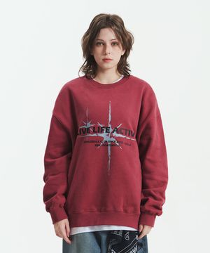 그래픽 기모 스웻셔츠 애쉬로즈