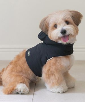 SSFW 마이 베스티 푸퍼 하네스 (3 colors)