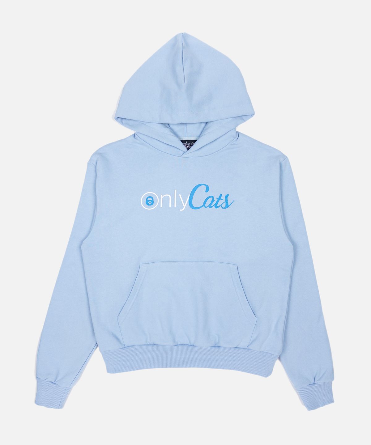 제스픽션(JESSFIXTION) ONLY CATS HOODIE (SKY BLUE)