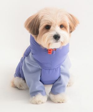 Latta Airtech All-in-one Puffer (3 colors)