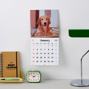 강아지 캘린더 2026