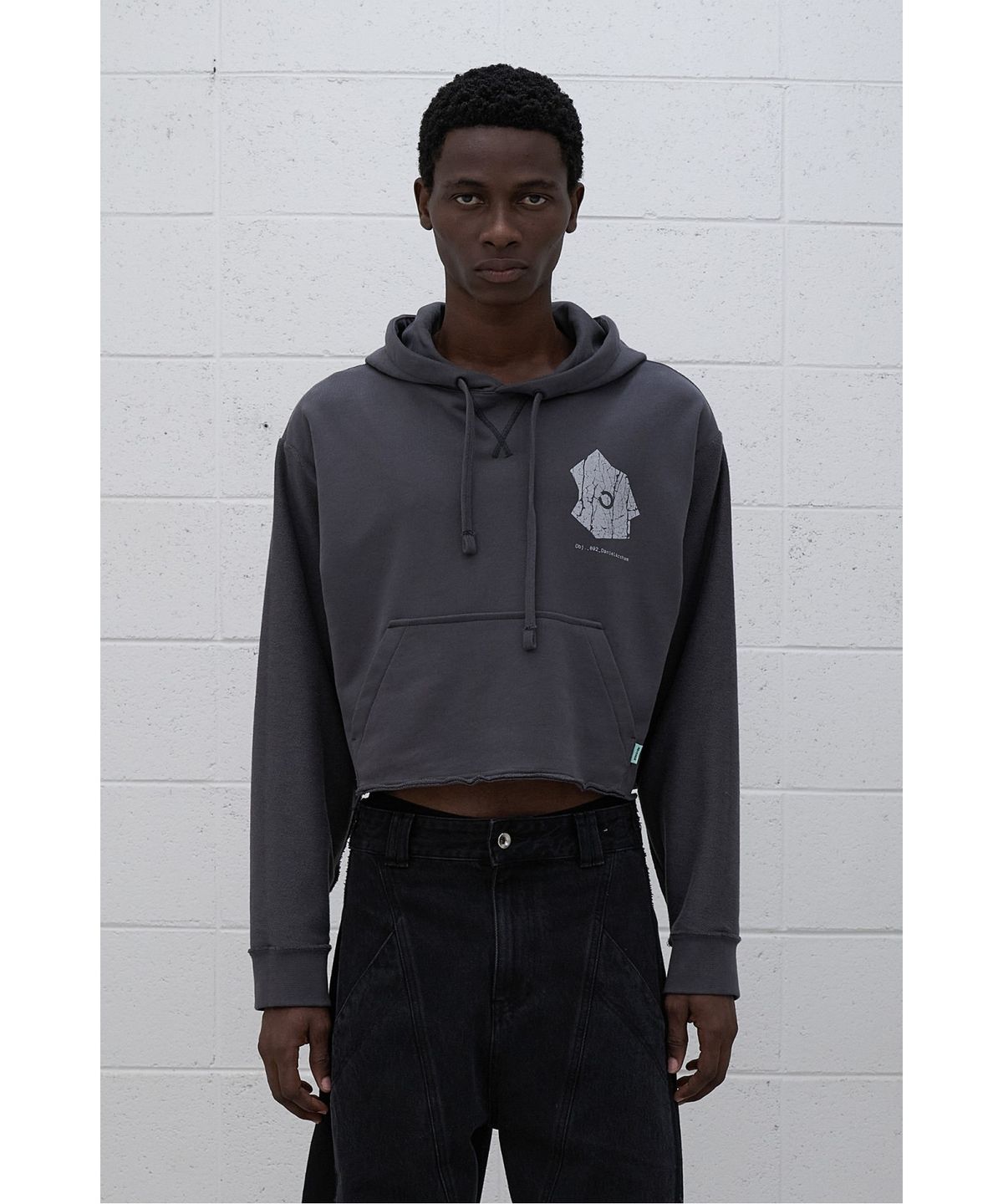 래코드(RECODE) (RE;CODE × OBJECTS IV LIFE by Daniel Arsham) Cropped Hoodie R0TAX25223GYX