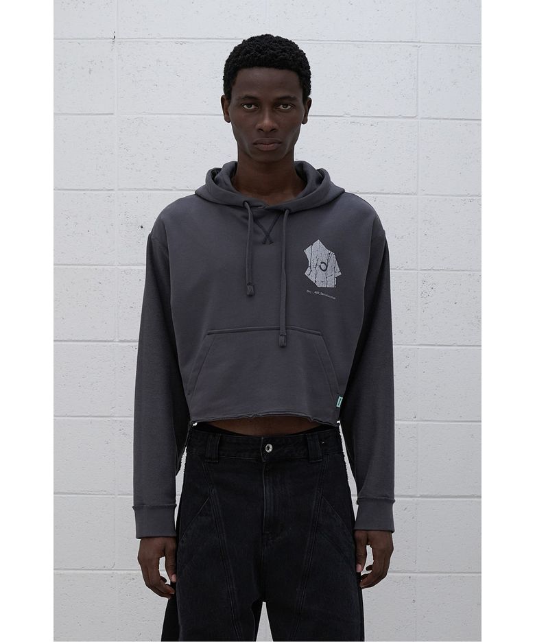 (RE;CODE × OBJECTS IV LIFE by Daniel Arsham) Cropped Hoodie R0TAX25223GYX