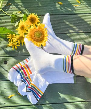 [5pack]컬러풀 밴딩 크루 장목 양말