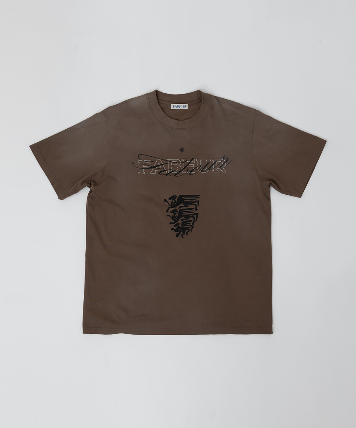 파버(FABEUR) WASHED GRAPHIC T-SHIRT (BROWN)