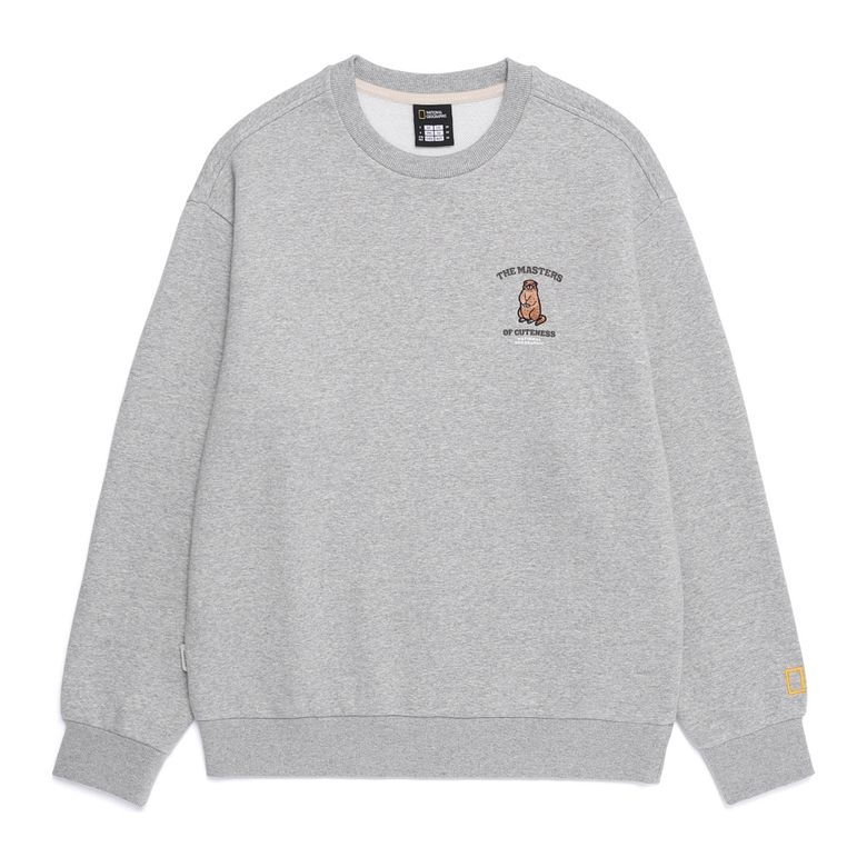 N254USW930 동물 그래픽 맨투맨 M/GREY