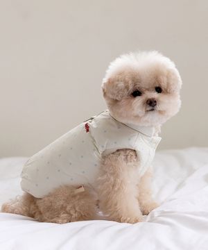 SSFW 몽글 리버시블 패딩 (3 colors)