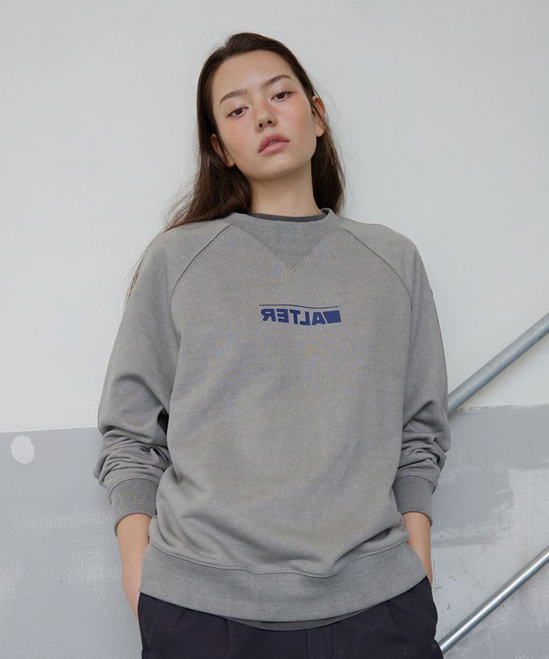Pigment Raglan Neat Sweatshirt_L/Grey