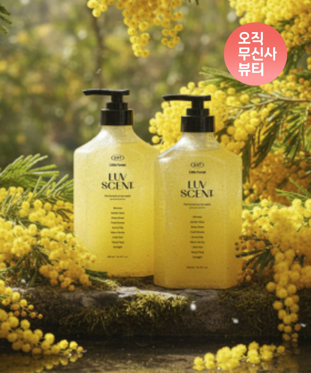 럽센트(LUVSCENT) 스크럽 워시 500ML 리틀 포레스트 미모사향 2입 구성
