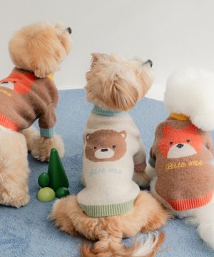 보들보들 니트 티셔츠 (2colors)