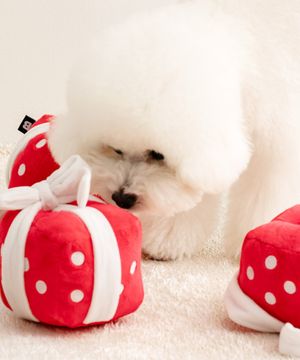 선물상자 노즈워크 장난감