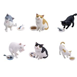 가챠 캡슐 뽑기 배고픈 고양이 6종세트