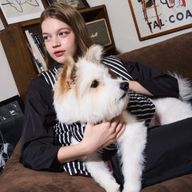 Thumbnail 0