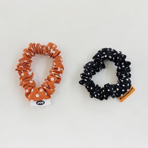 BGP 도트펌킨슈슈