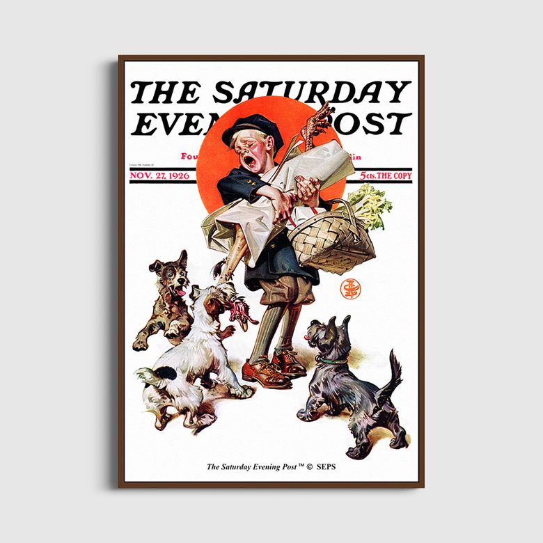 SEP Framed Poster_Barking Up the Wrong Turkey