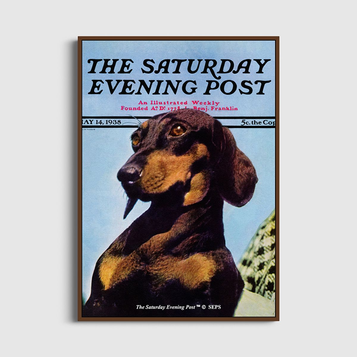 더 새터데이 이브닝 포스트(THE SATURDAY EVENING POST) SEP Framed Poster_Dachshund