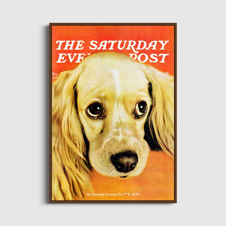 SEP Framed Poster_Golden Cocker