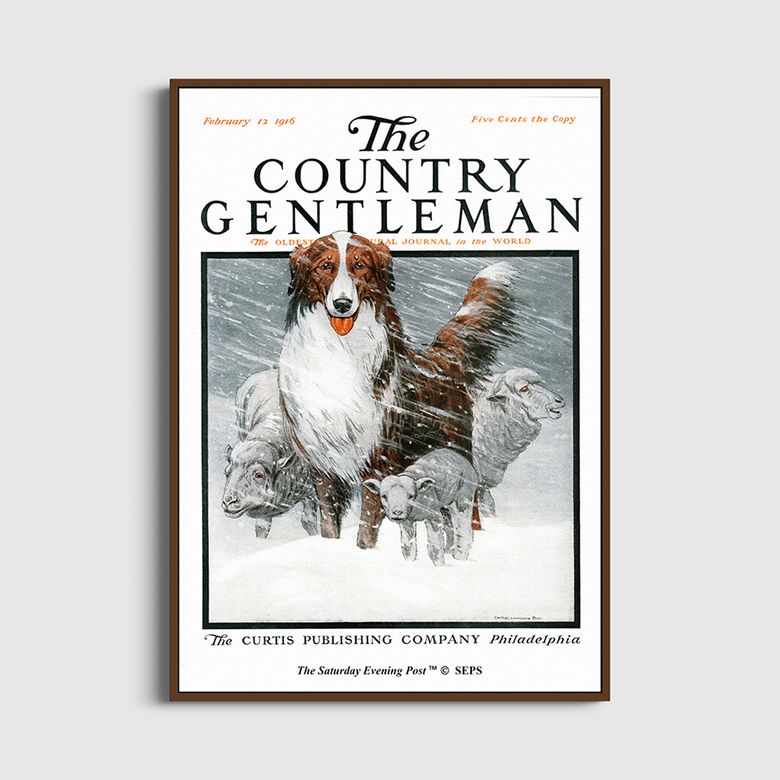 SEP Framed Poster_Collie Herding Sheep in Snow Storm