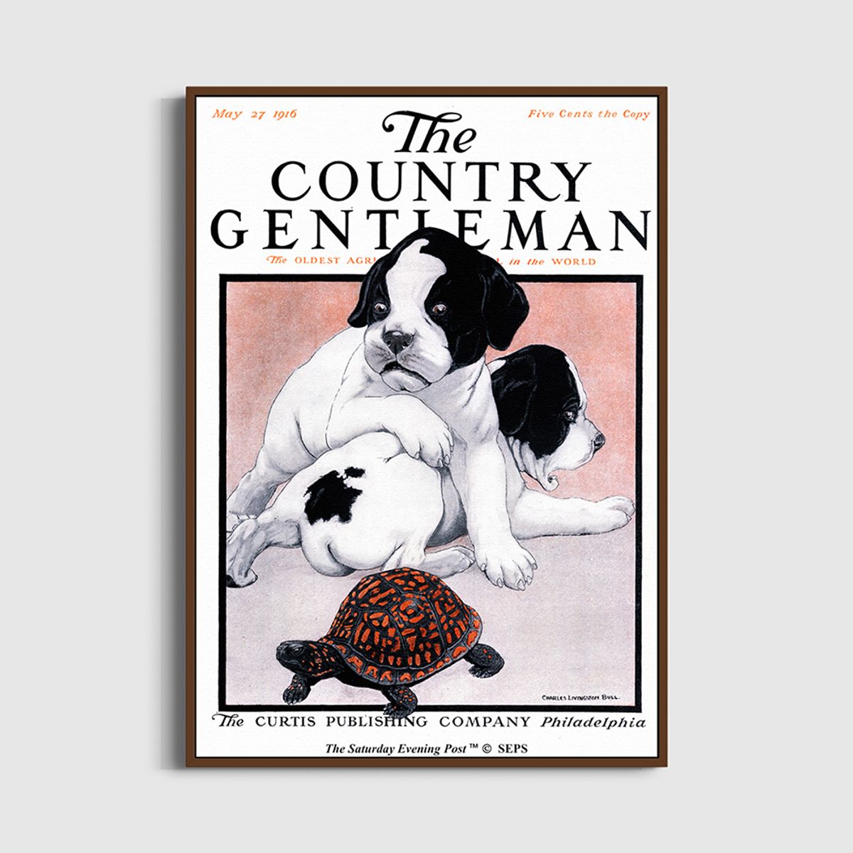 더 새터데이 이브닝 포스트(THE SATURDAY EVENING POST) SEP Framed Poster_Puppies and Box Turtle