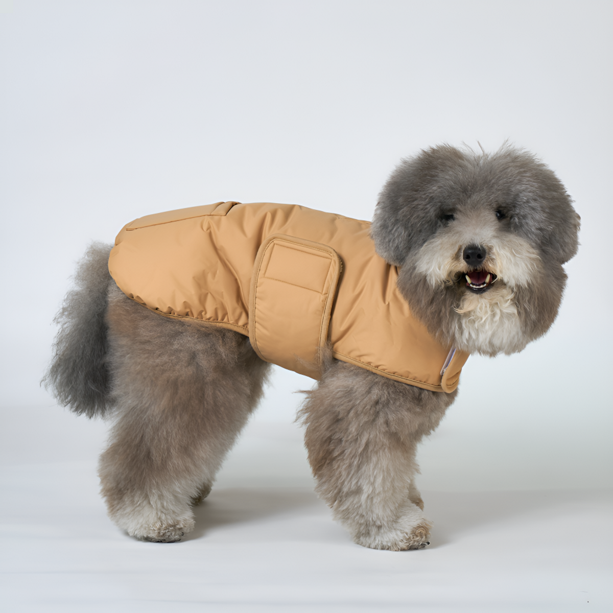 엔젤도그(ANGEL DOG) 개따뜨텍 강아지 숏패딩 Beige