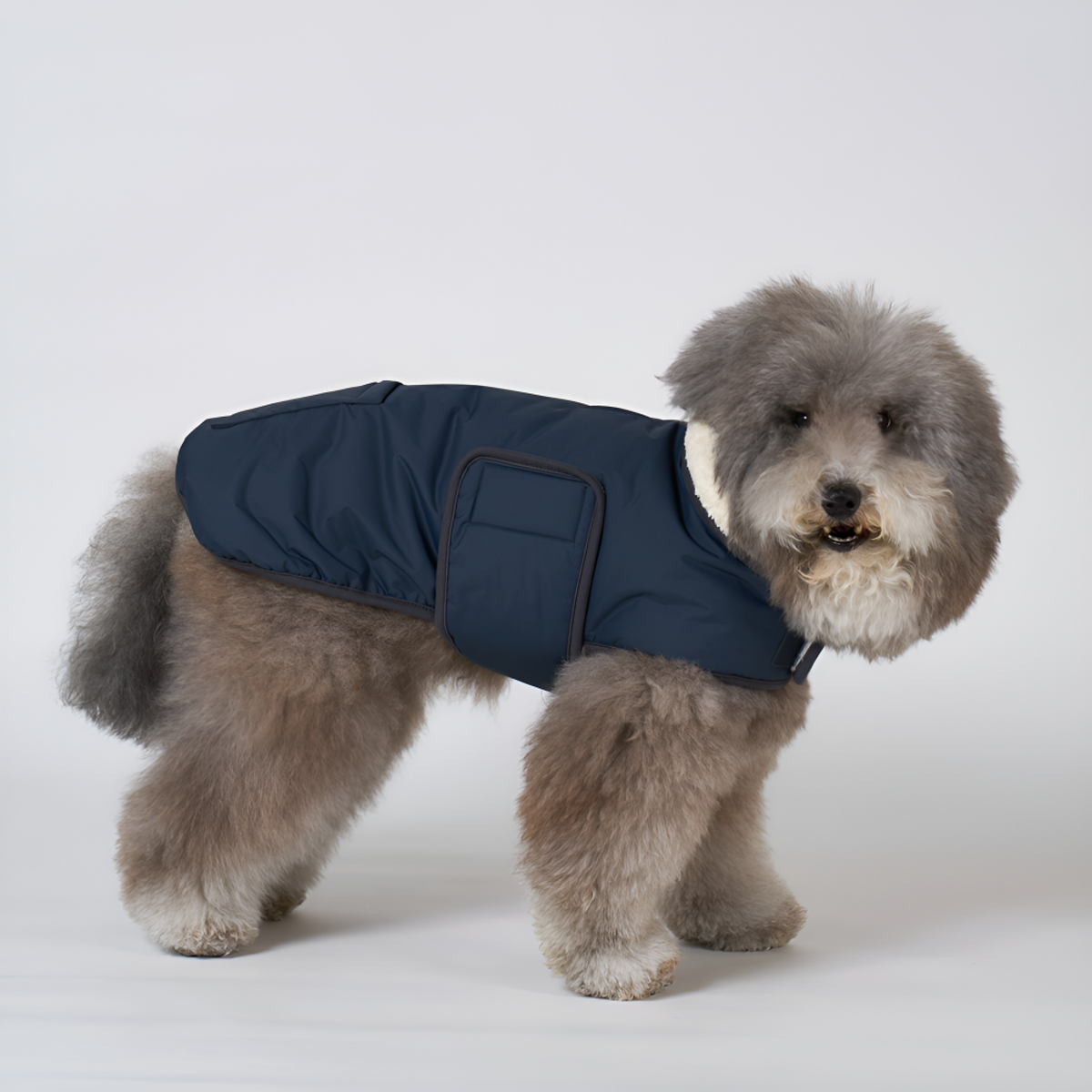 엔젤도그(ANGEL DOG) 개따뜨텍 강아지 숏패딩 Dark Grey