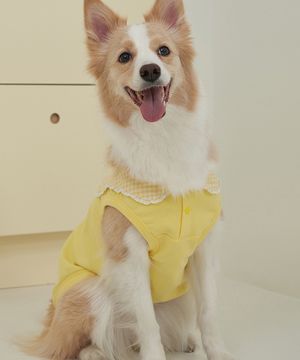 중형견 대형견 강아지실내복 코지 세라티 옐로우