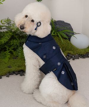 중형견 대형견 강아지 향균 용포 한복 세자감색