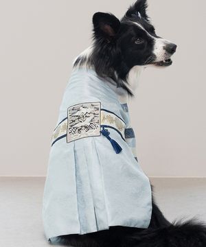 중형견 대형견 강아지 설날 서후왕자 한복 푸른빛